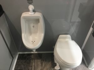 urinal and toilet