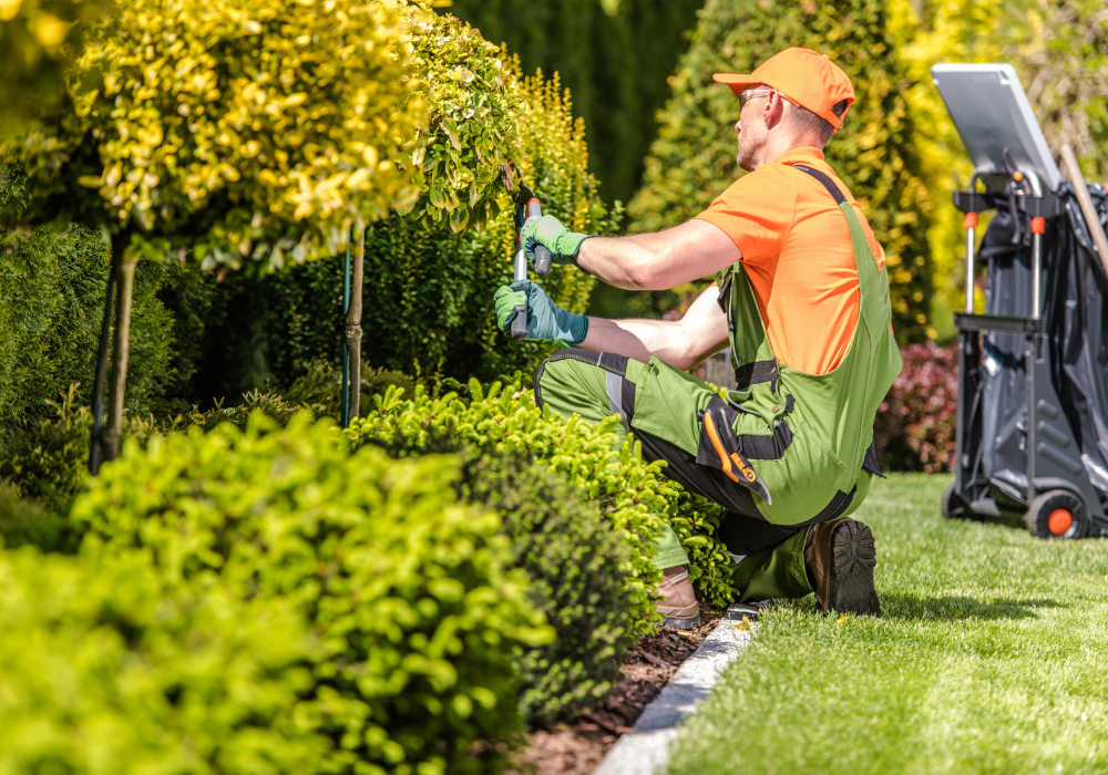 green landscaping