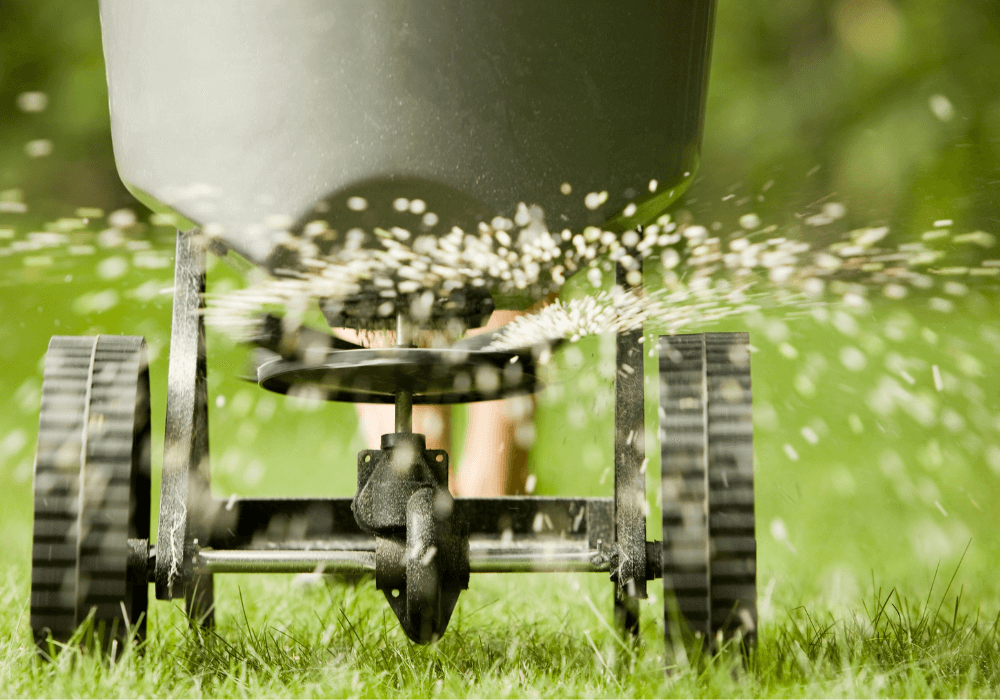 fertilizing lawn