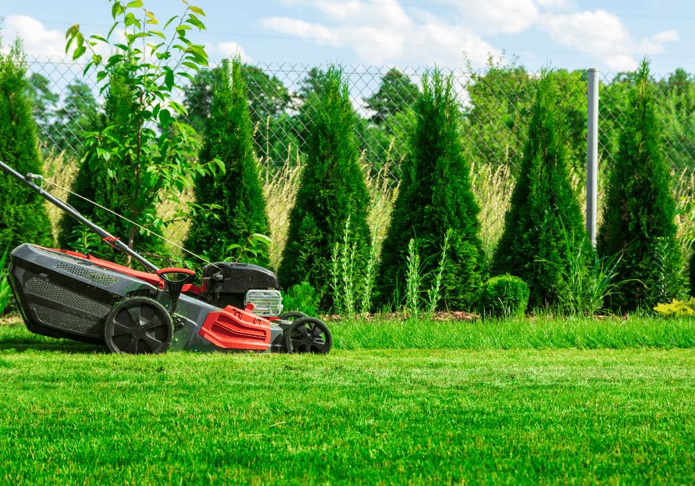 lawn mowing