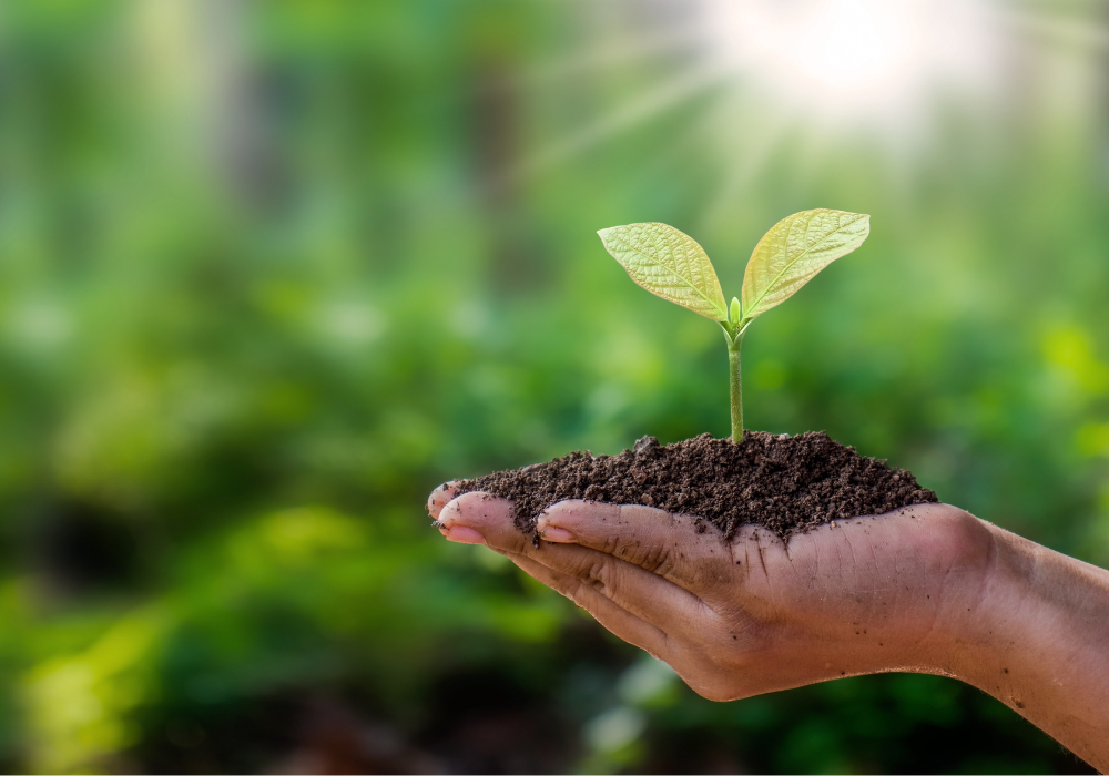 hand and dirt representing sustainability