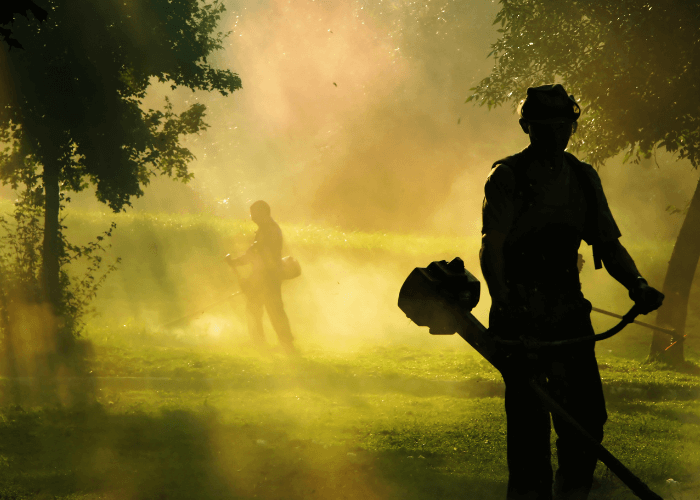 landscapers in foggy field